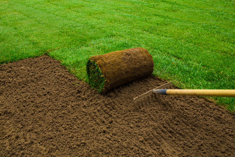 Gardeners & landscapers in Nottingham